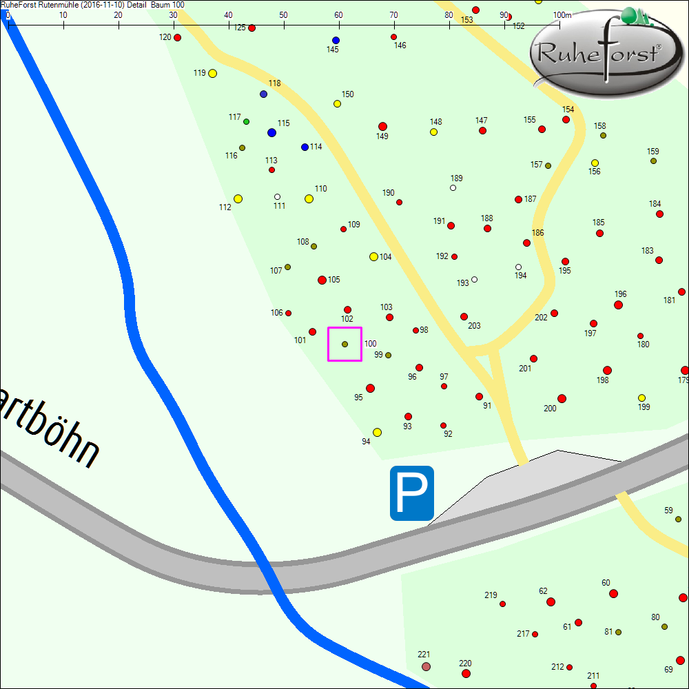 Detailkarte zu Baum 100