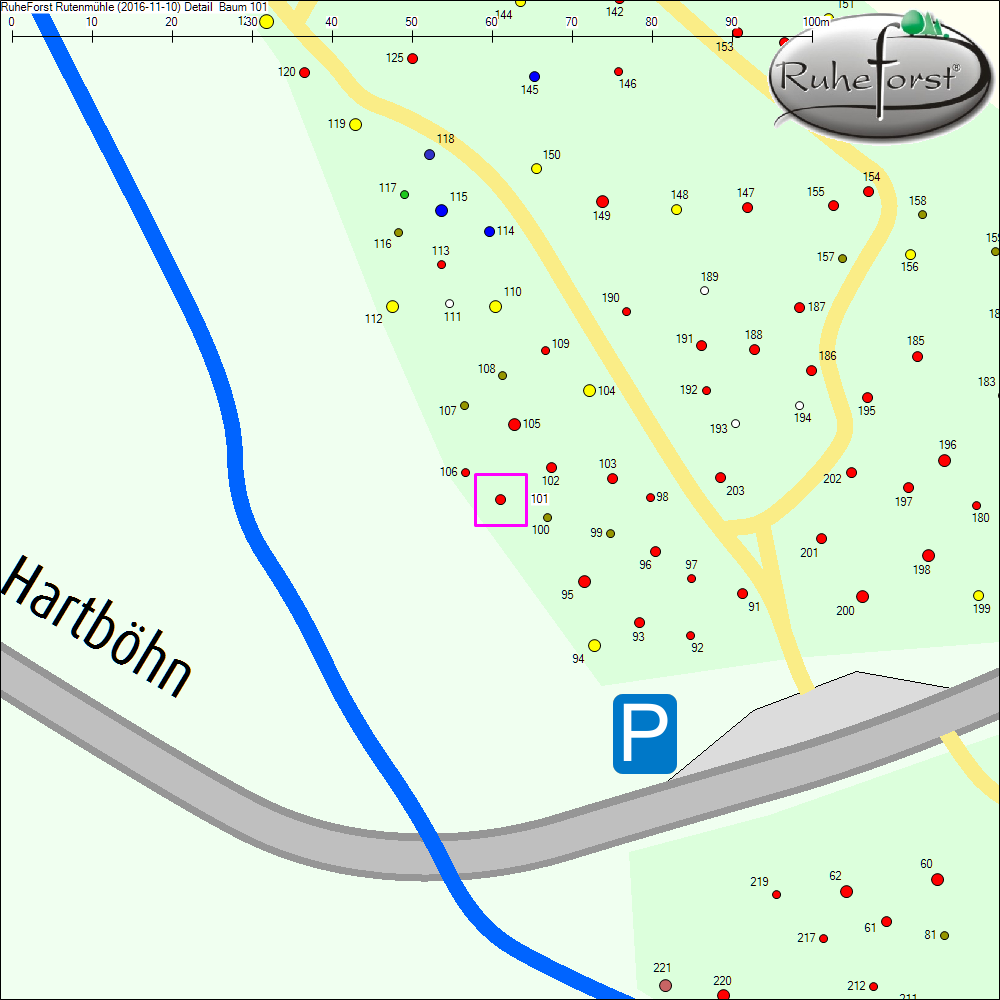 Detailkarte zu Baum 101