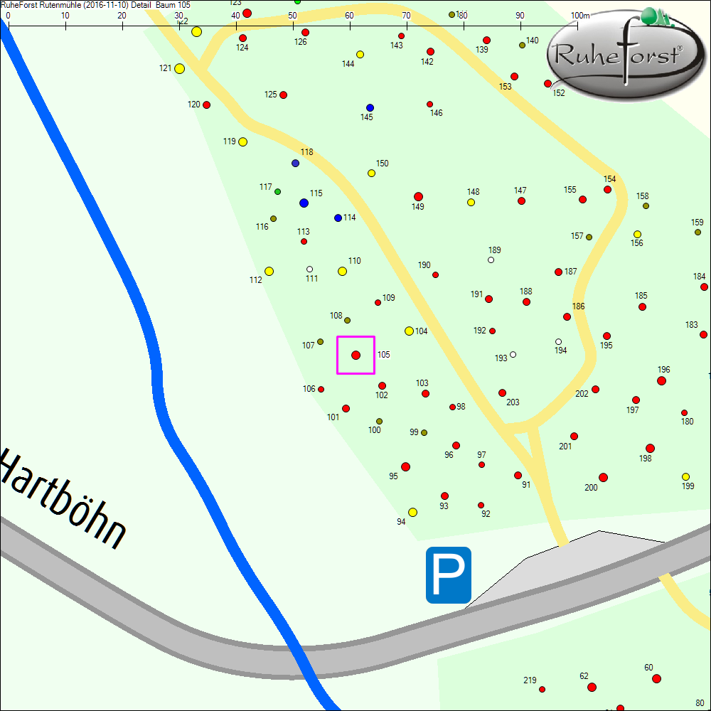 Detailkarte zu Baum 105