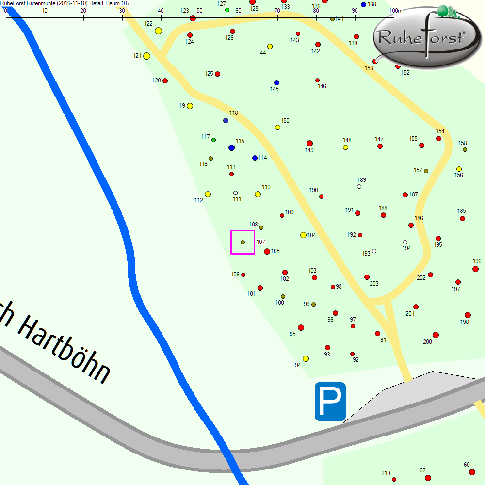 Detailkarte zu Baum 107