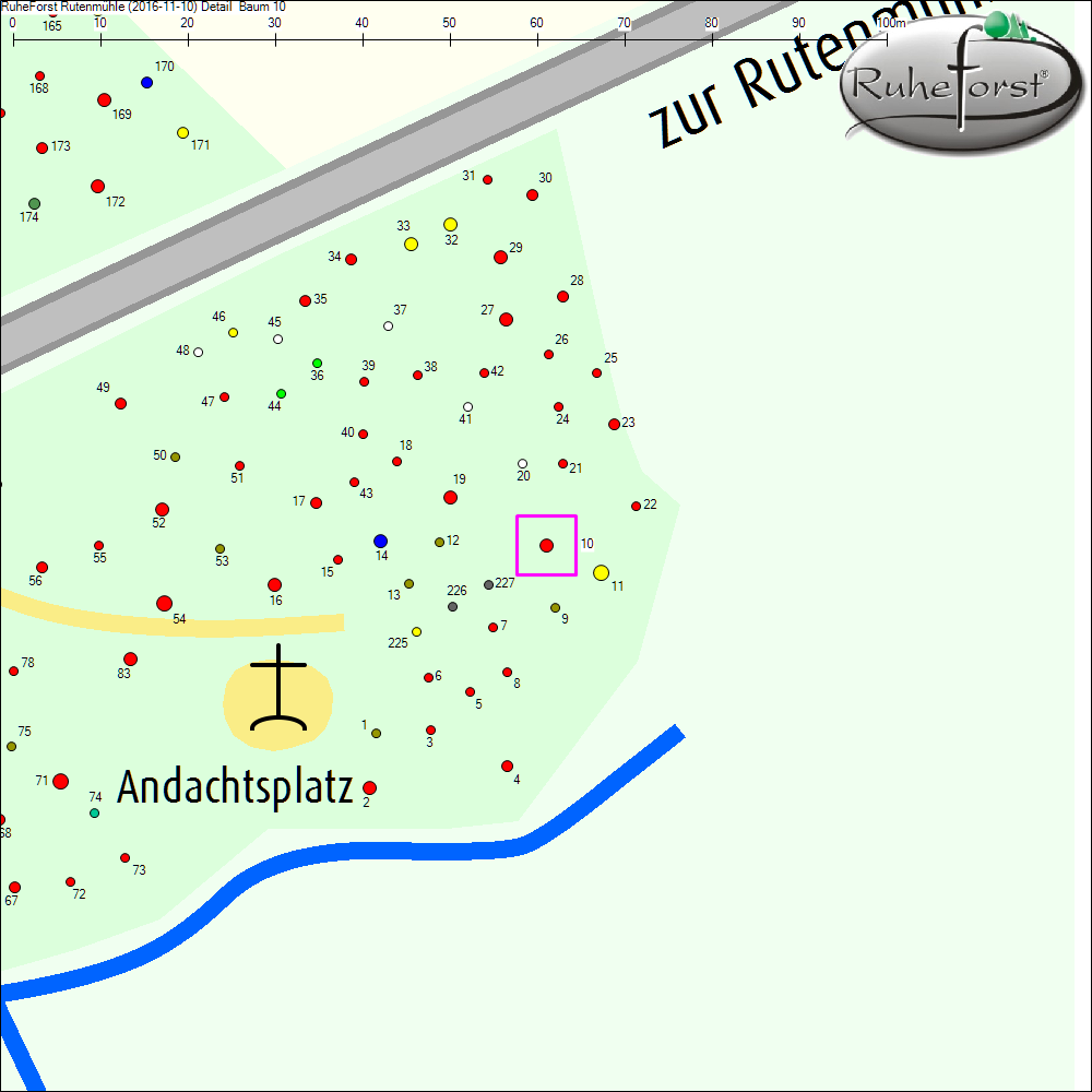 Detailkarte zu Baum 10