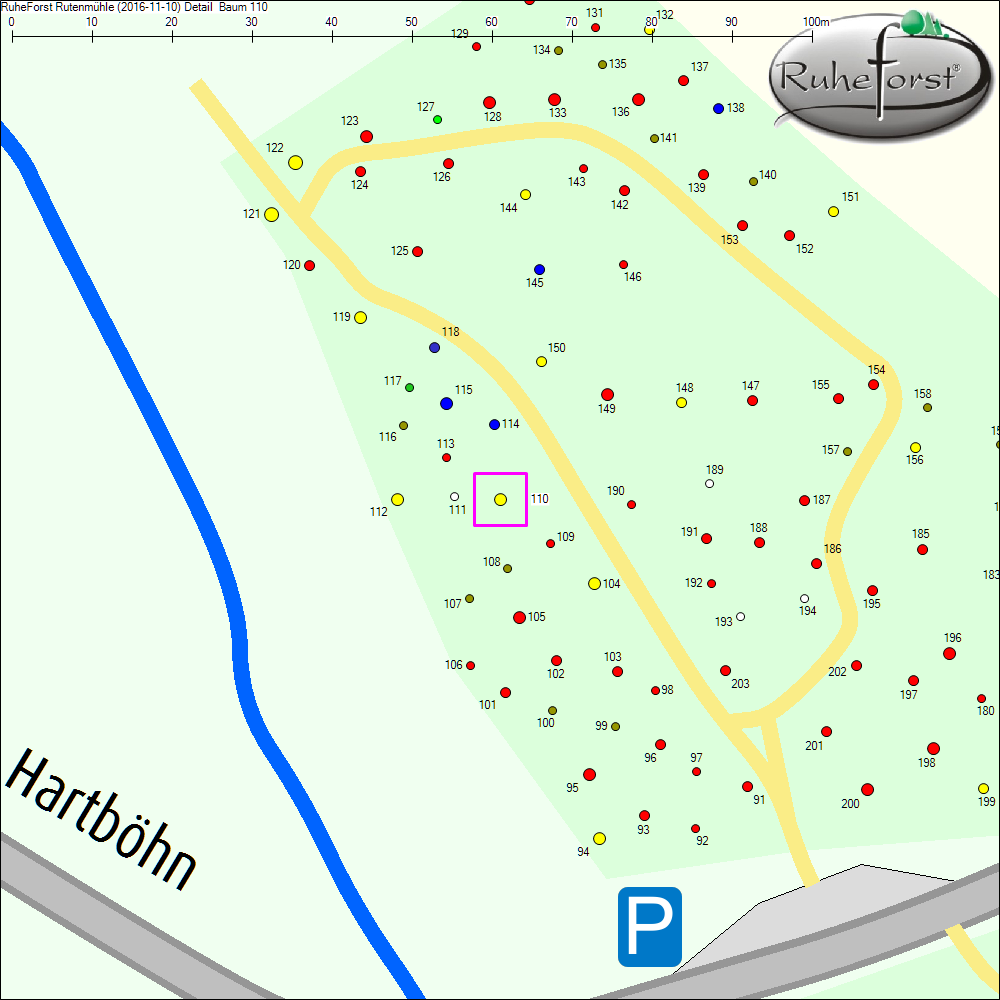 Detailkarte zu Baum 110