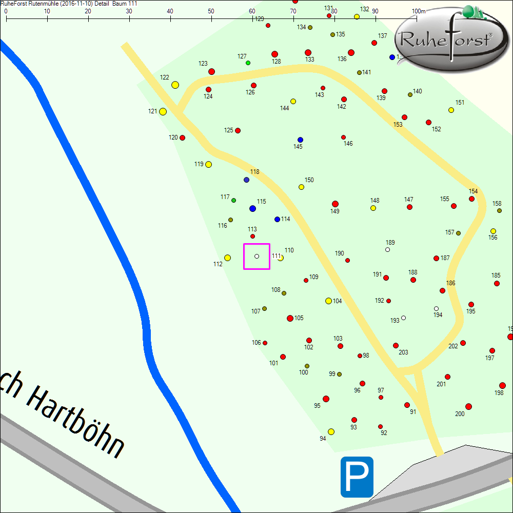 Detailkarte zu Baum 111