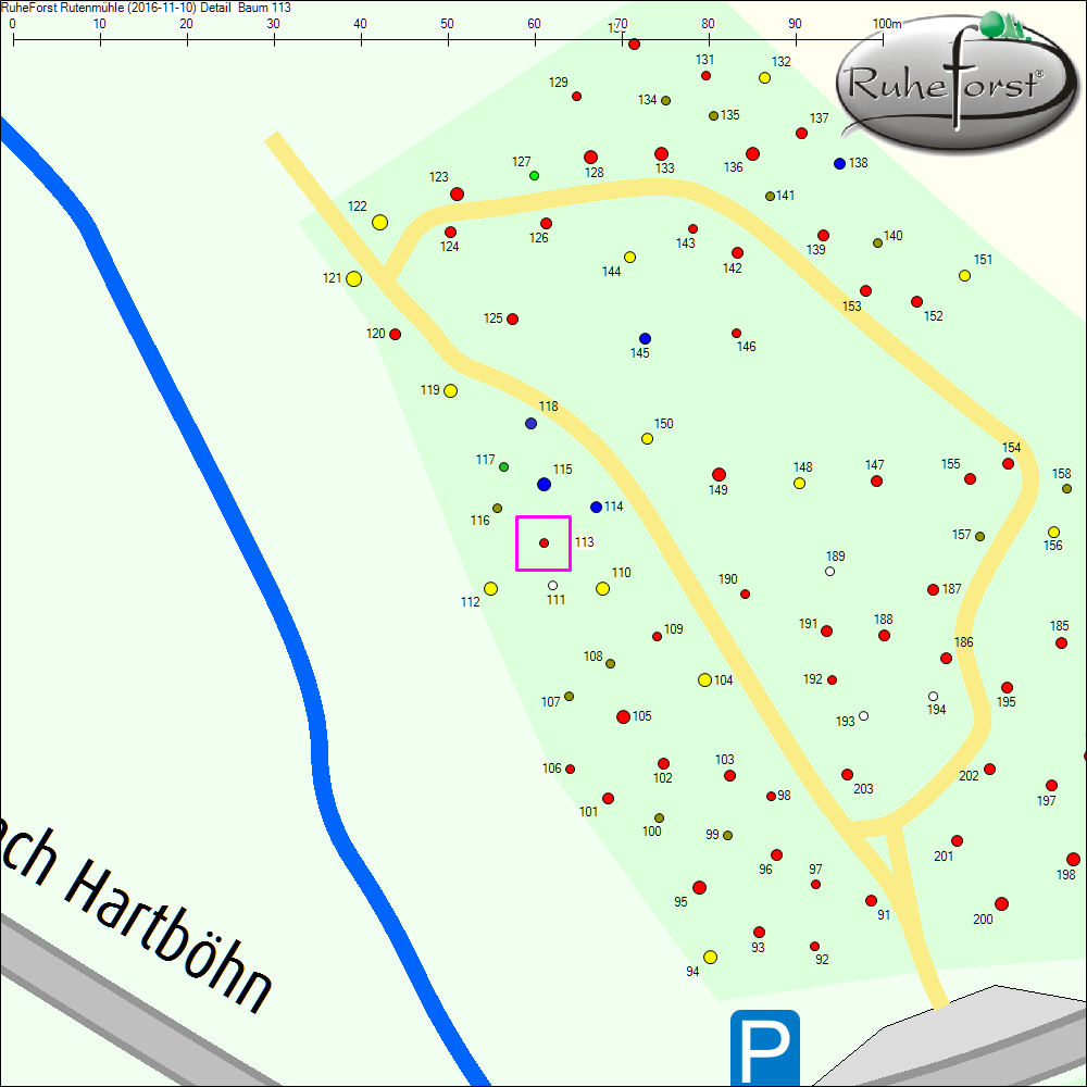 Detailkarte zu Baum 113