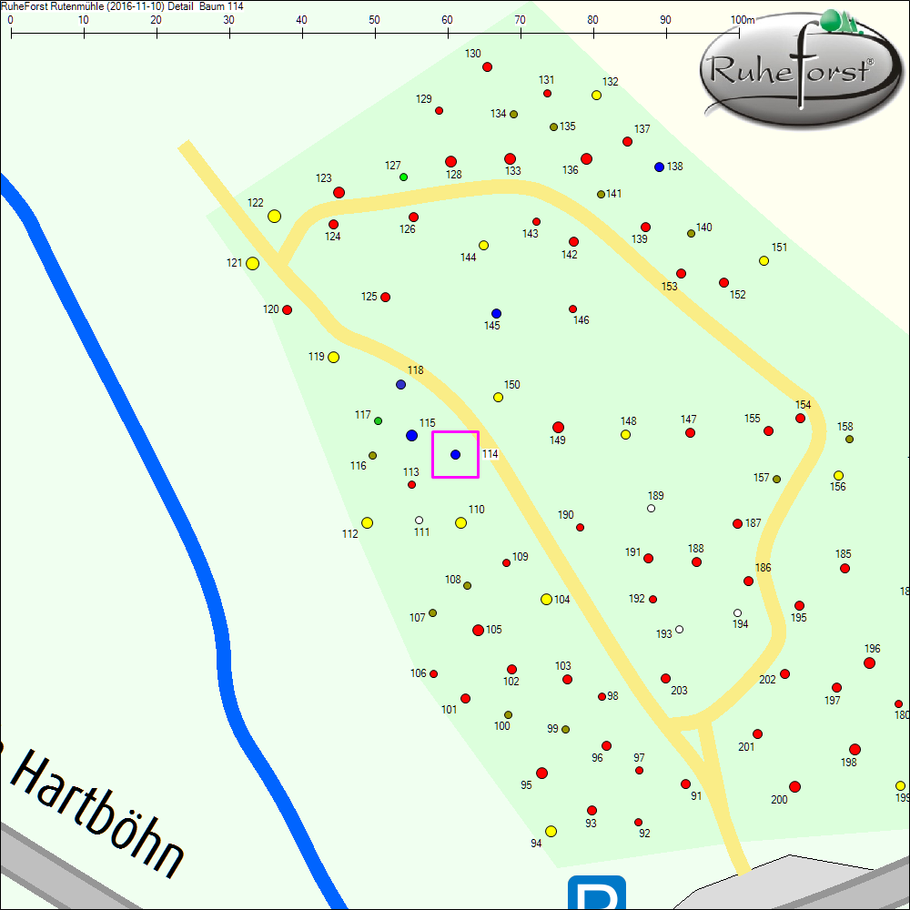 Detailkarte zu Baum 114