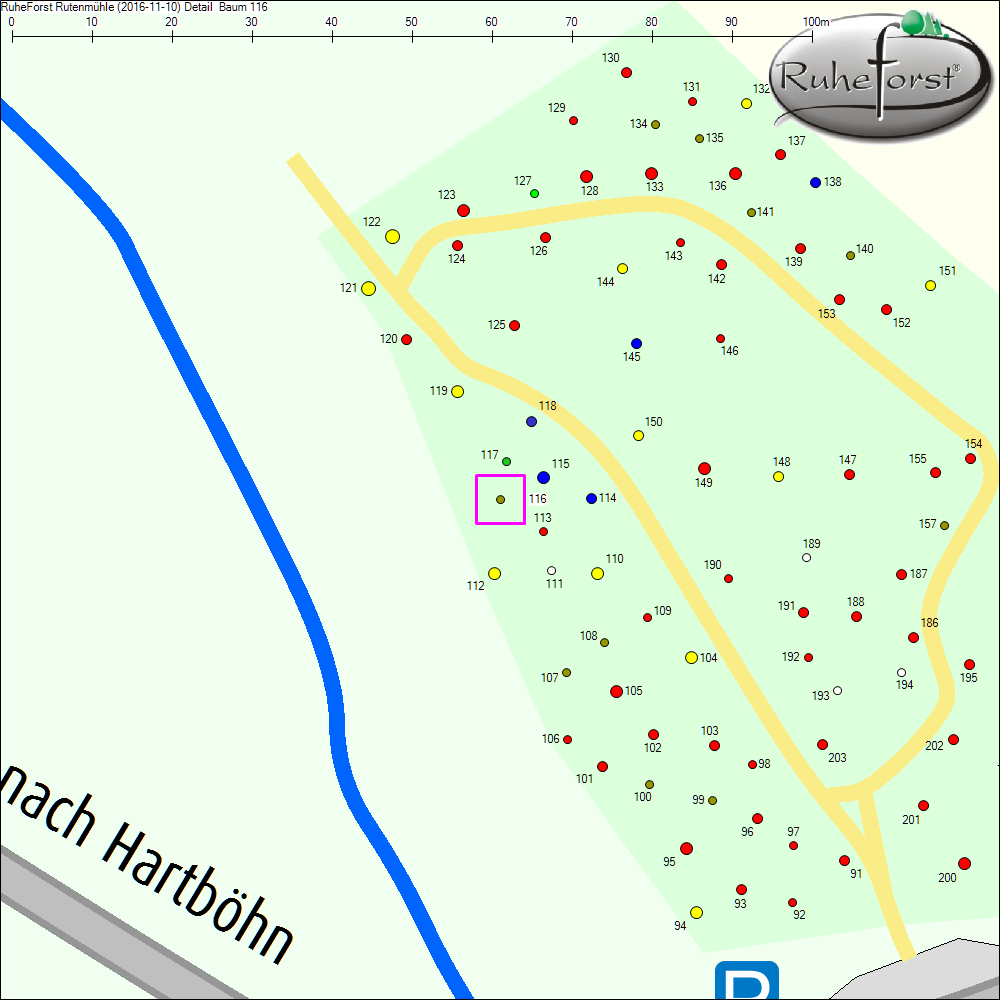 Detailkarte zu Baum 116