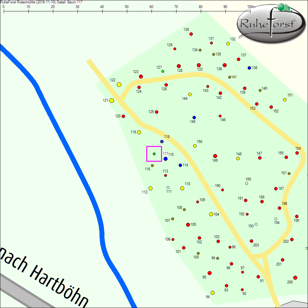 Detailkarte zu Baum 117