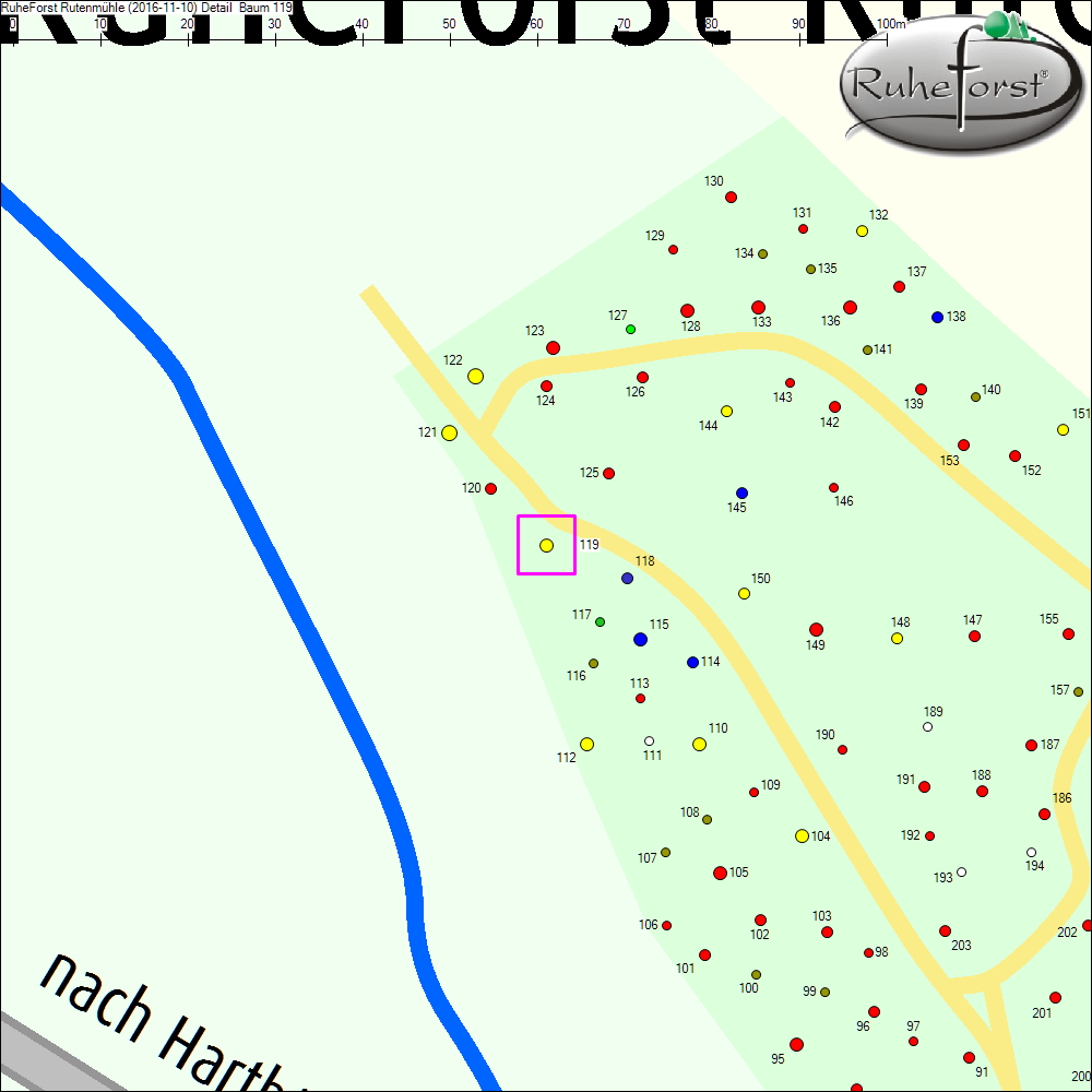 Detailkarte zu Baum 119