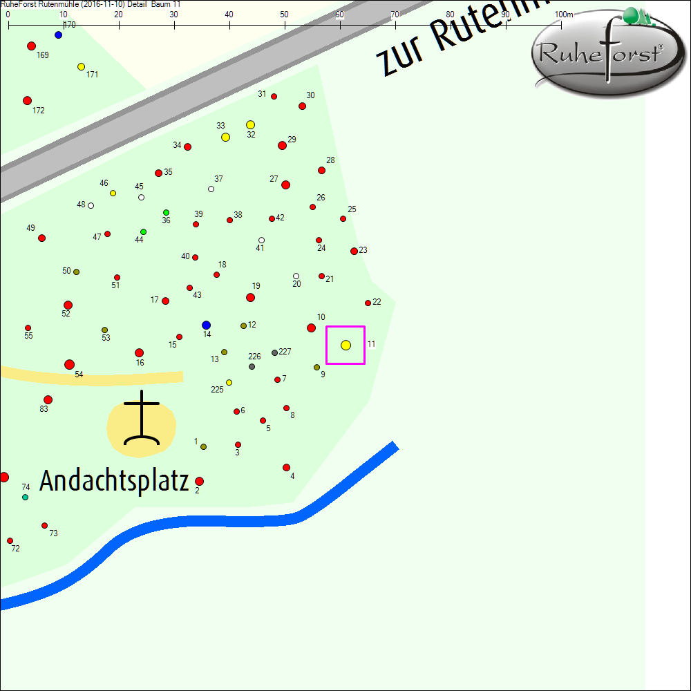 Detailkarte zu Baum 11