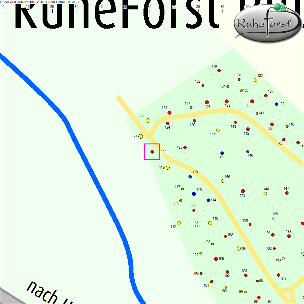 Detailkarte zu Baum 120