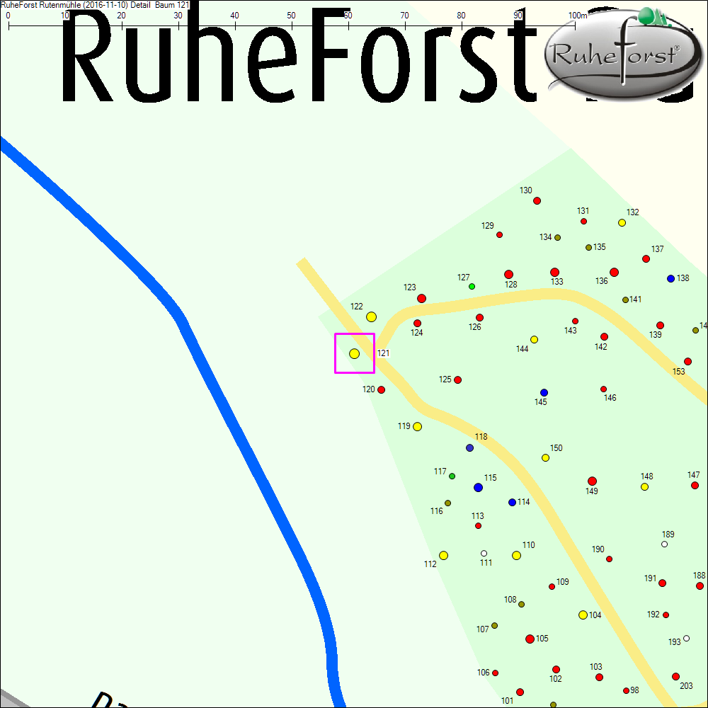 Detailkarte zu Baum 121
