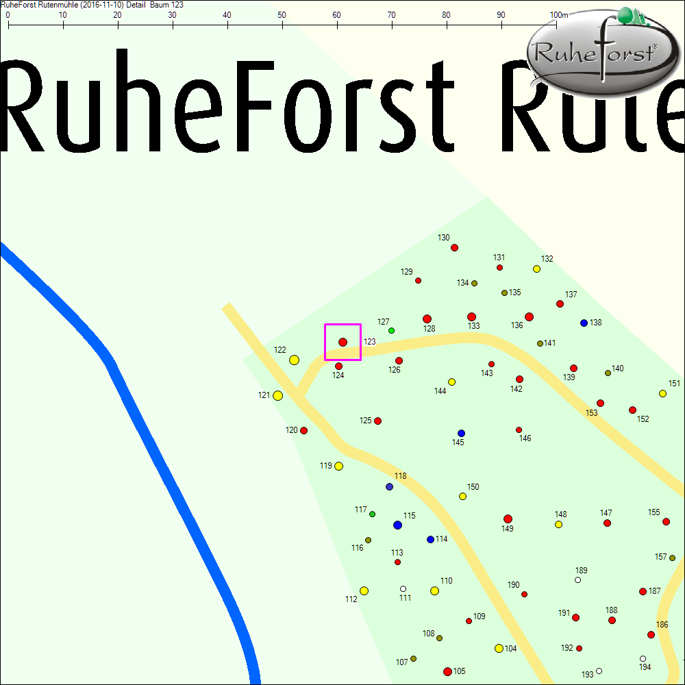 Detailkarte zu Baum 123