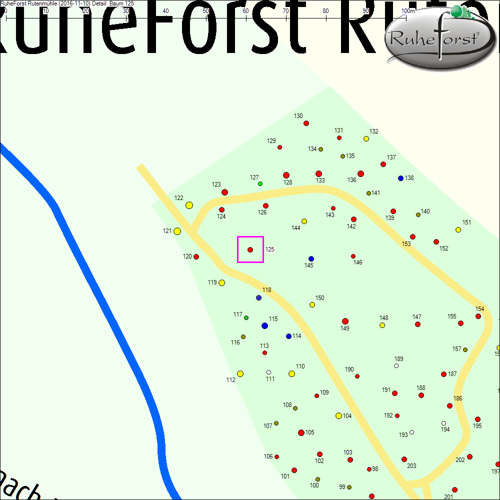 Detailkarte zu Baum 125
