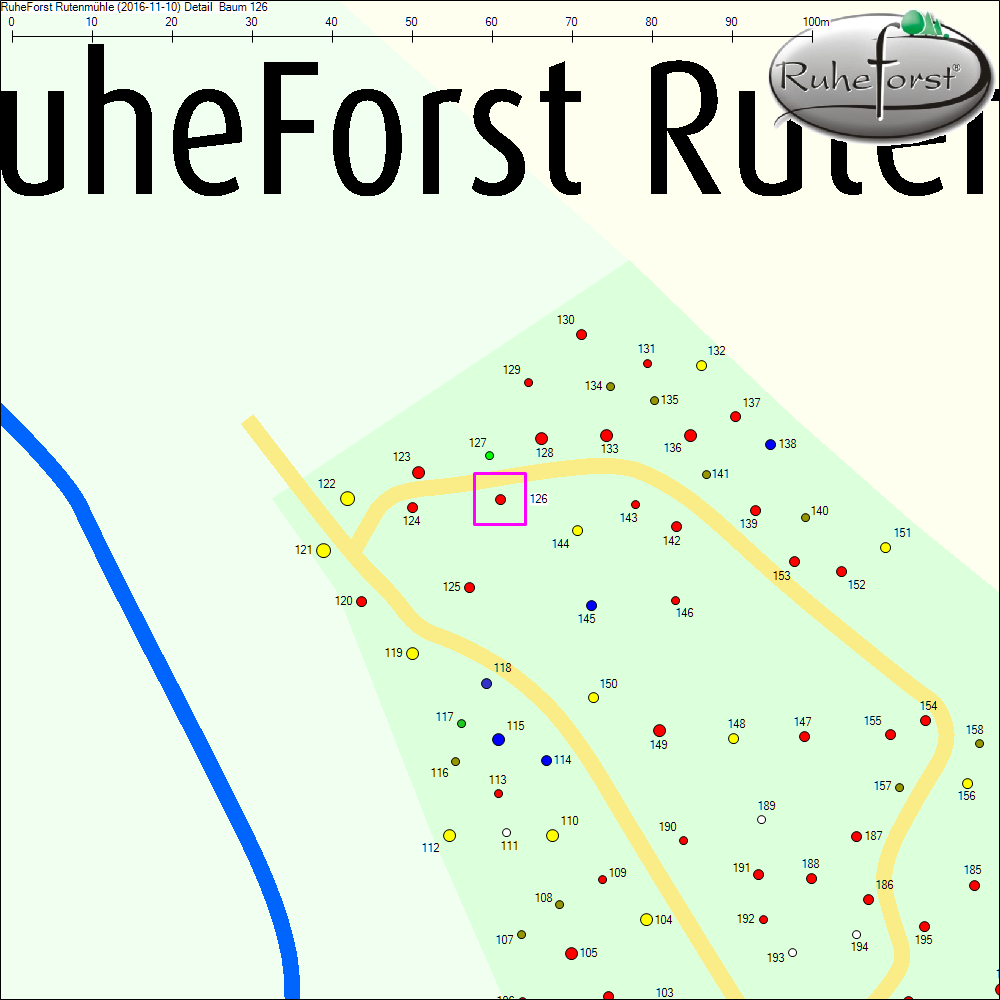Detailkarte zu Baum 126