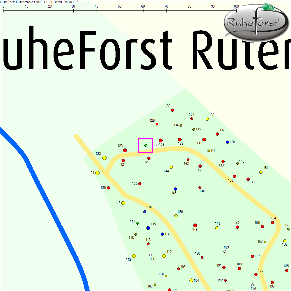 Detailkarte zu Baum 127
