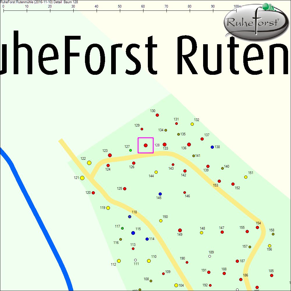 Detailkarte zu Baum 128