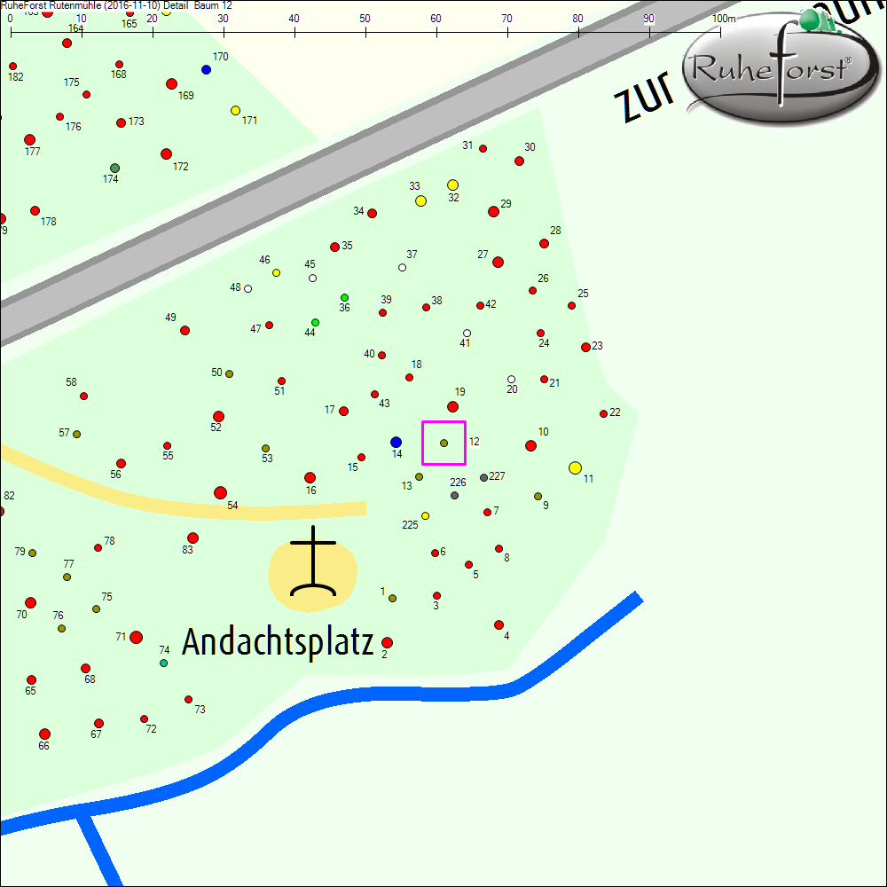 Detailkarte zu Baum 12