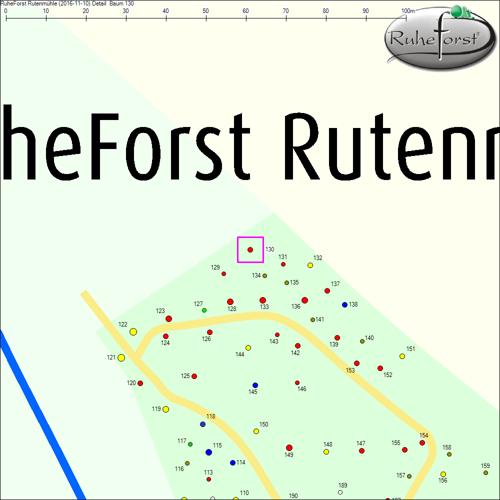 Detailkarte zu Baum 130