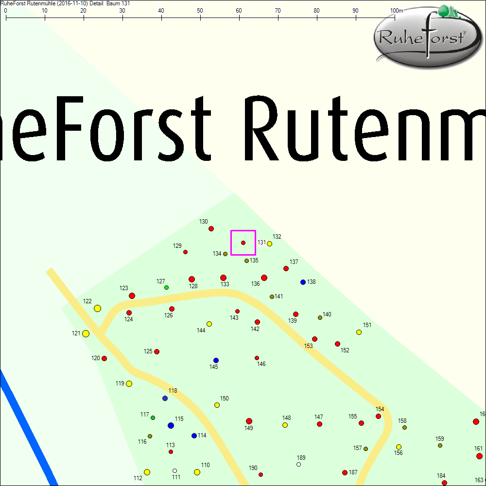 Detailkarte zu Baum 131