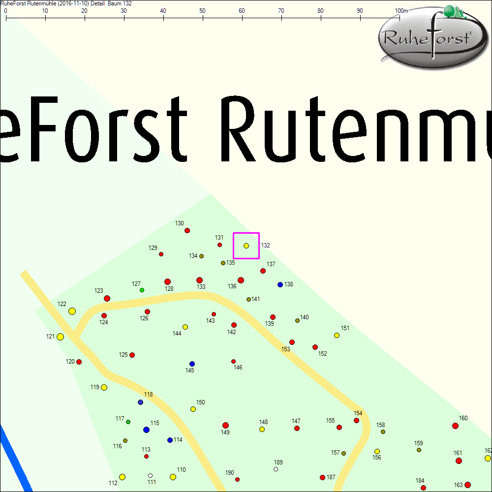 Detailkarte zu Baum 132