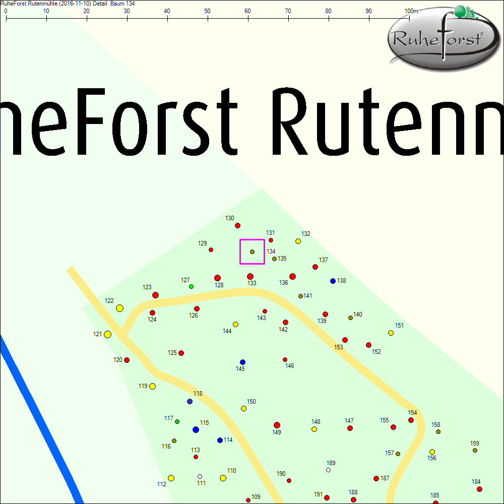 Detailkarte zu Baum 134