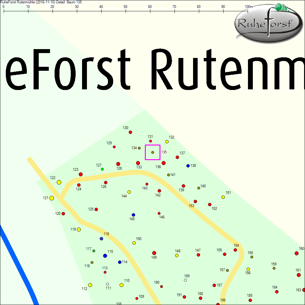 Detailkarte zu Baum 135