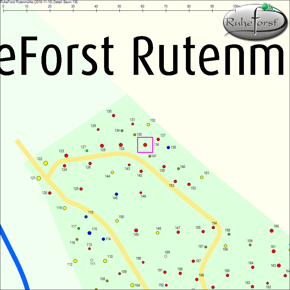 Detailkarte zu Baum 136