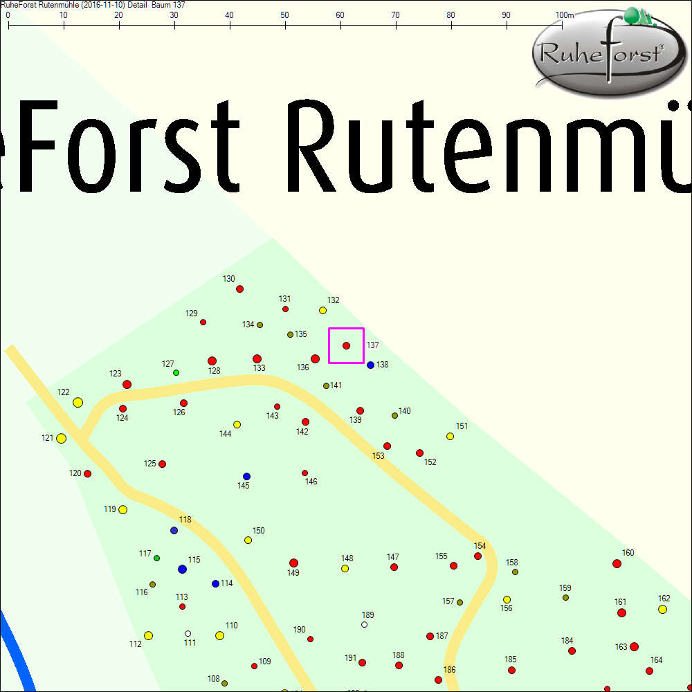 Detailkarte zu Baum 137
