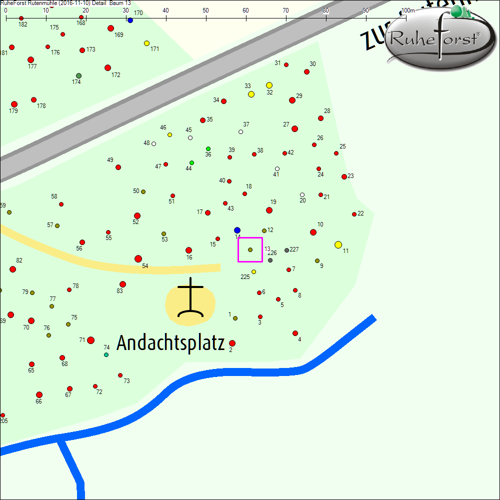 Detailkarte zu Baum 13