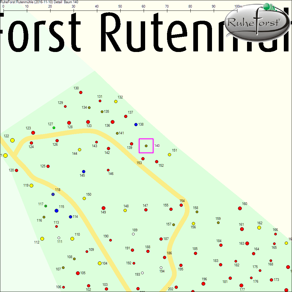Detailkarte zu Baum 140