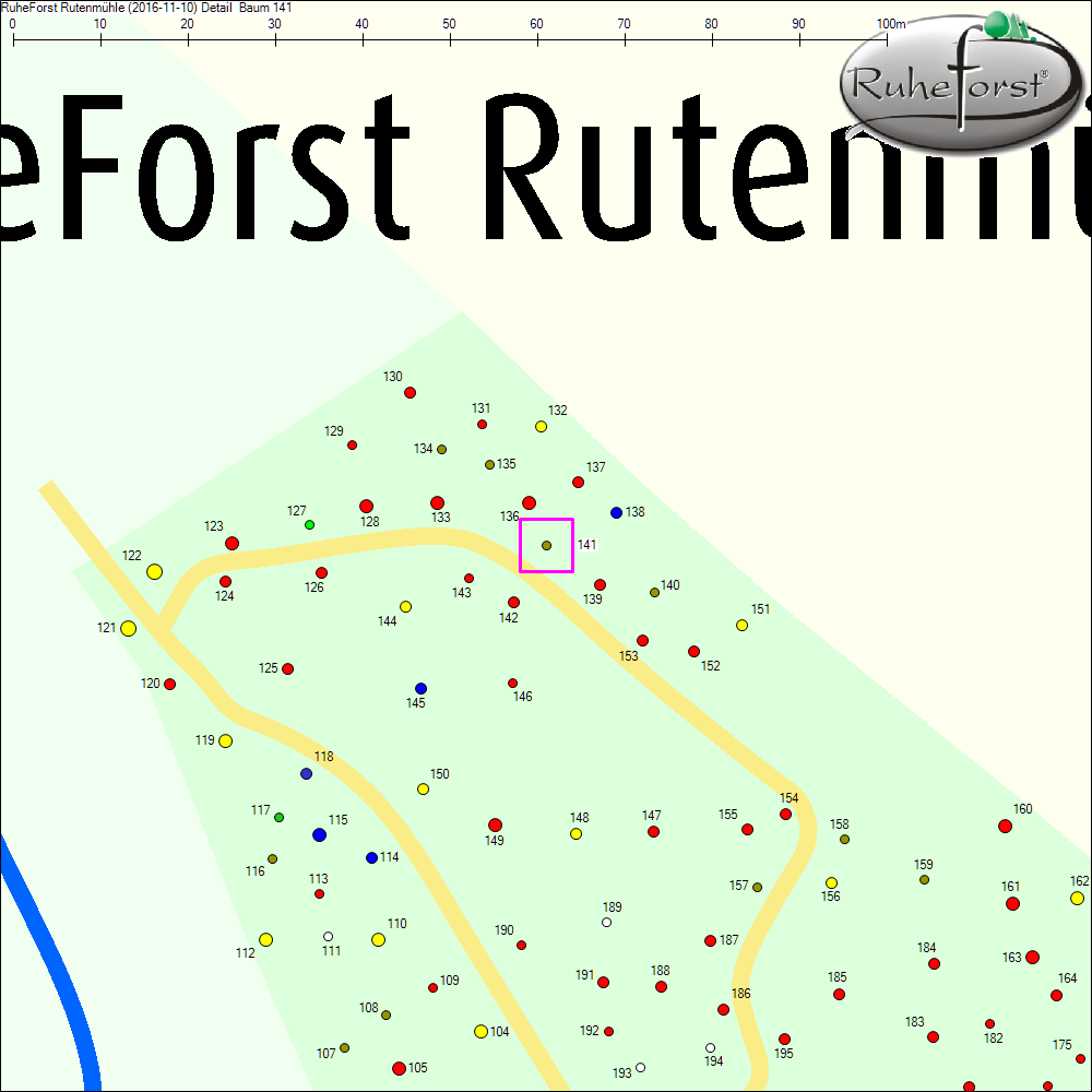 Detailkarte zu Baum 141