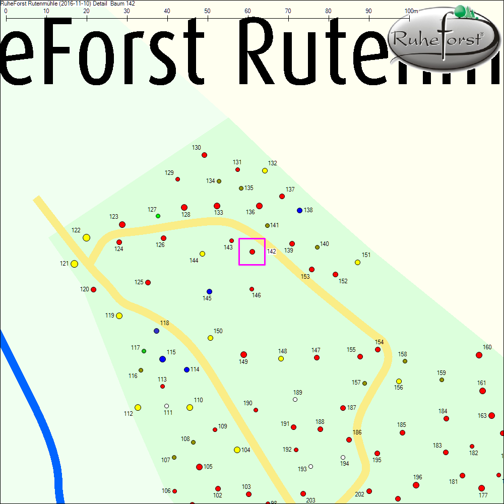 Detailkarte zu Baum 142