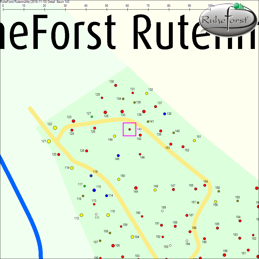 Detailkarte zu Baum 143