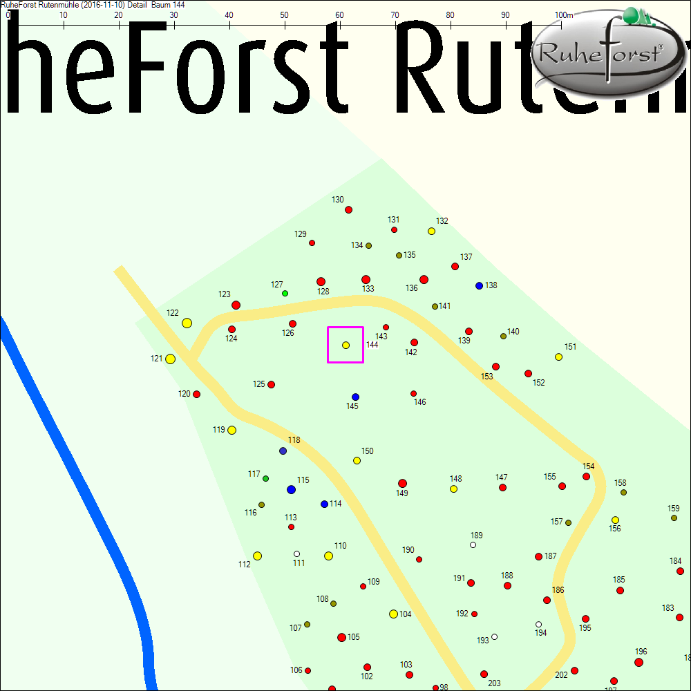 Detailkarte zu Baum 144