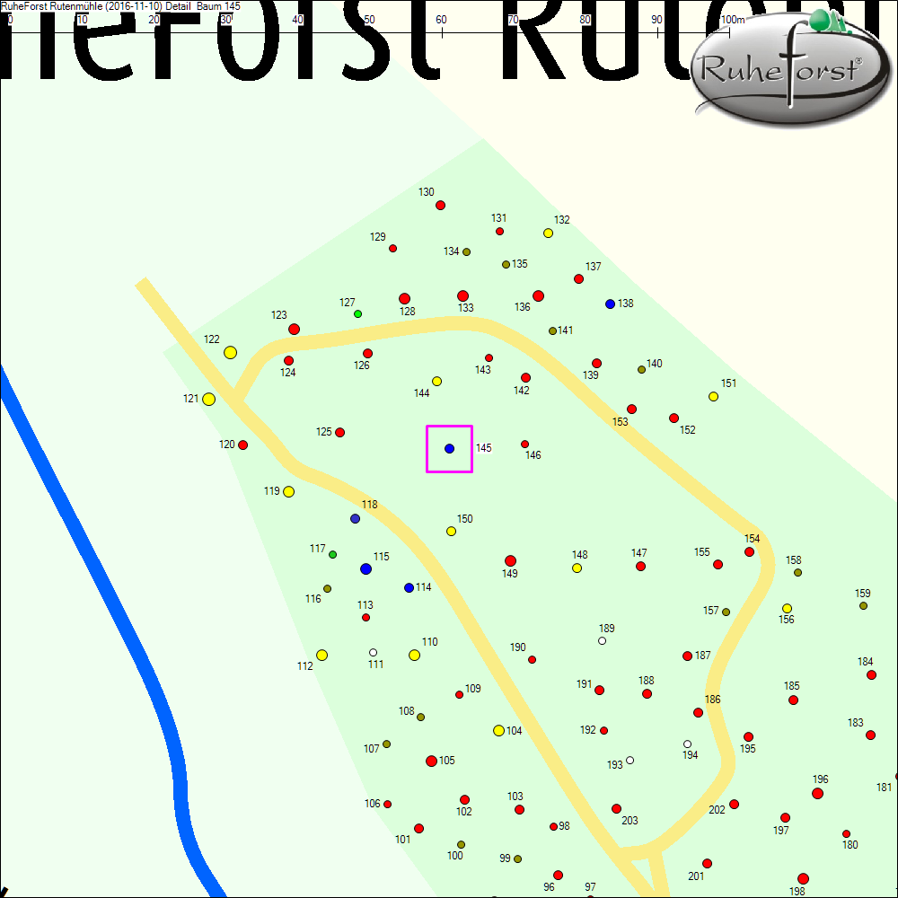Detailkarte zu Baum 145