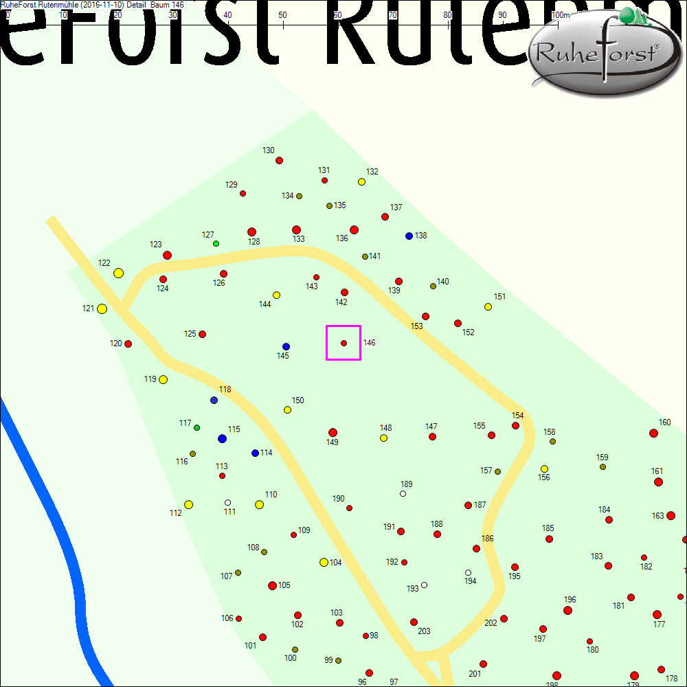 Detailkarte zu Baum 146