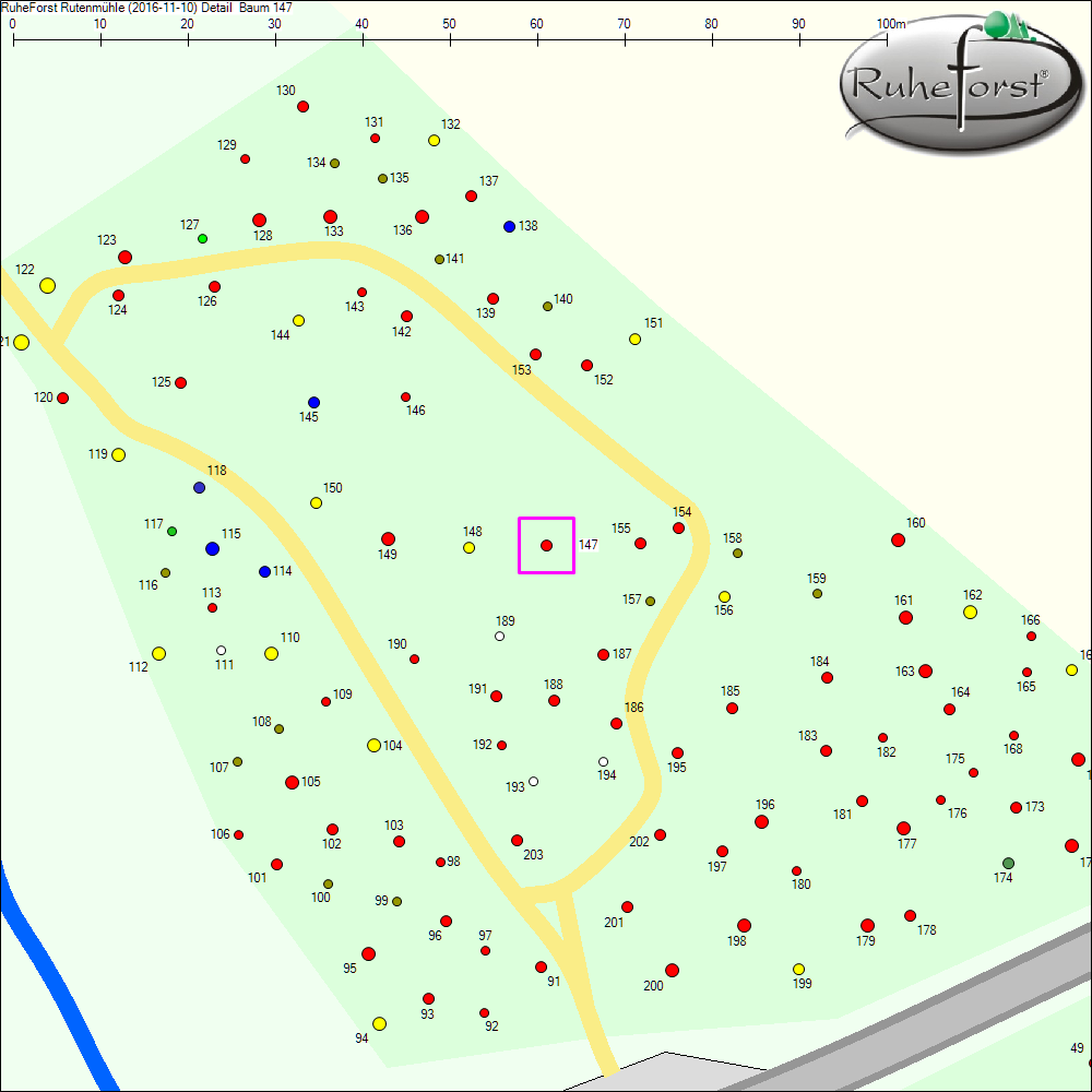 Detailkarte zu Baum 147