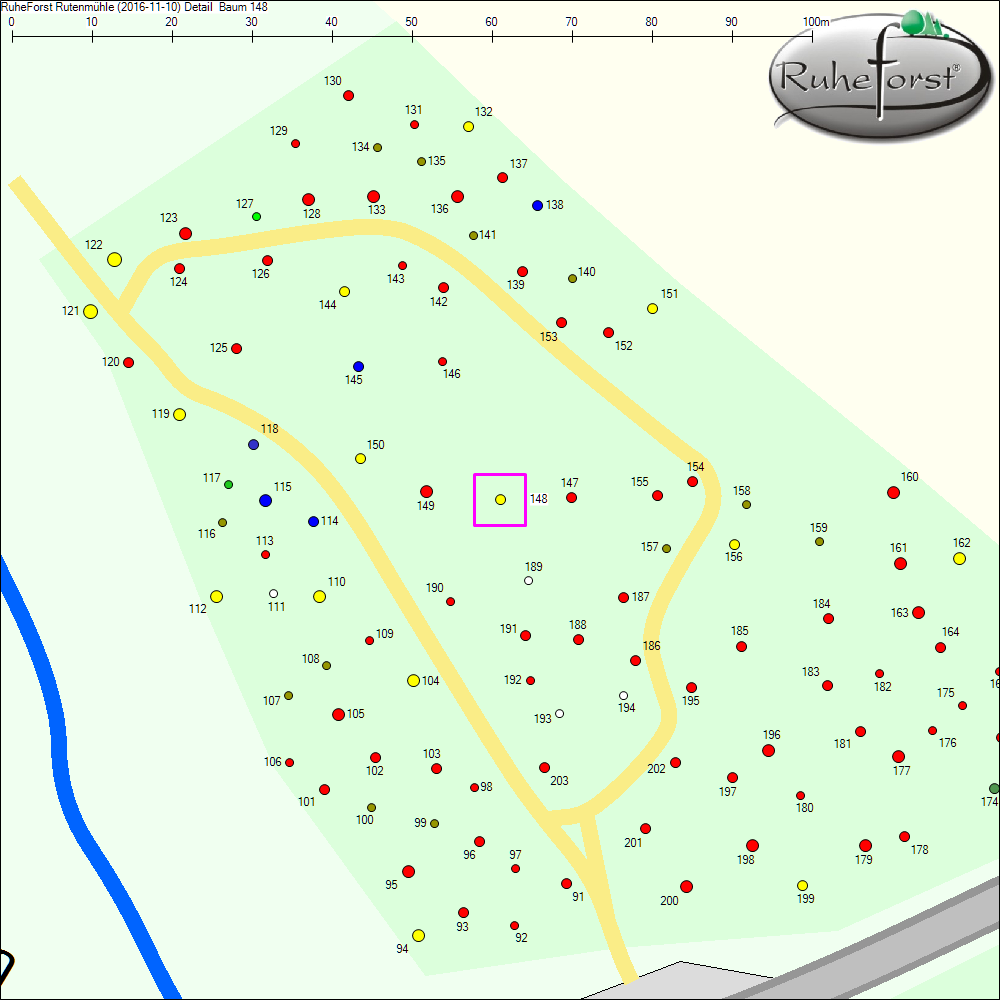 Detailkarte zu Baum 148