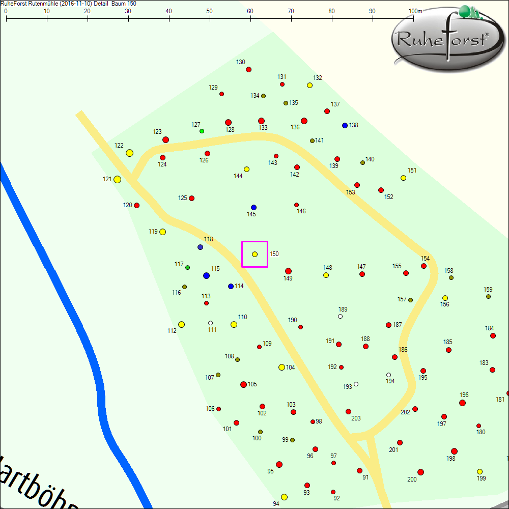 Detailkarte zu Baum 150