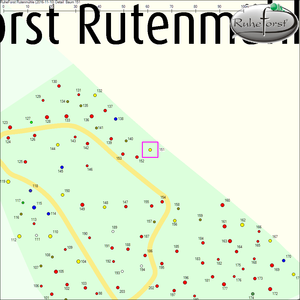 Detailkarte zu Baum 151