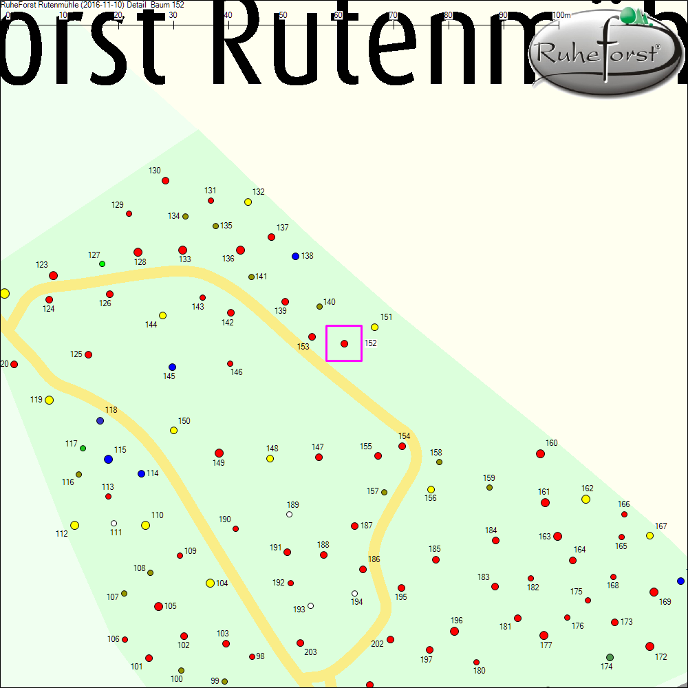 Detailkarte zu Baum 152