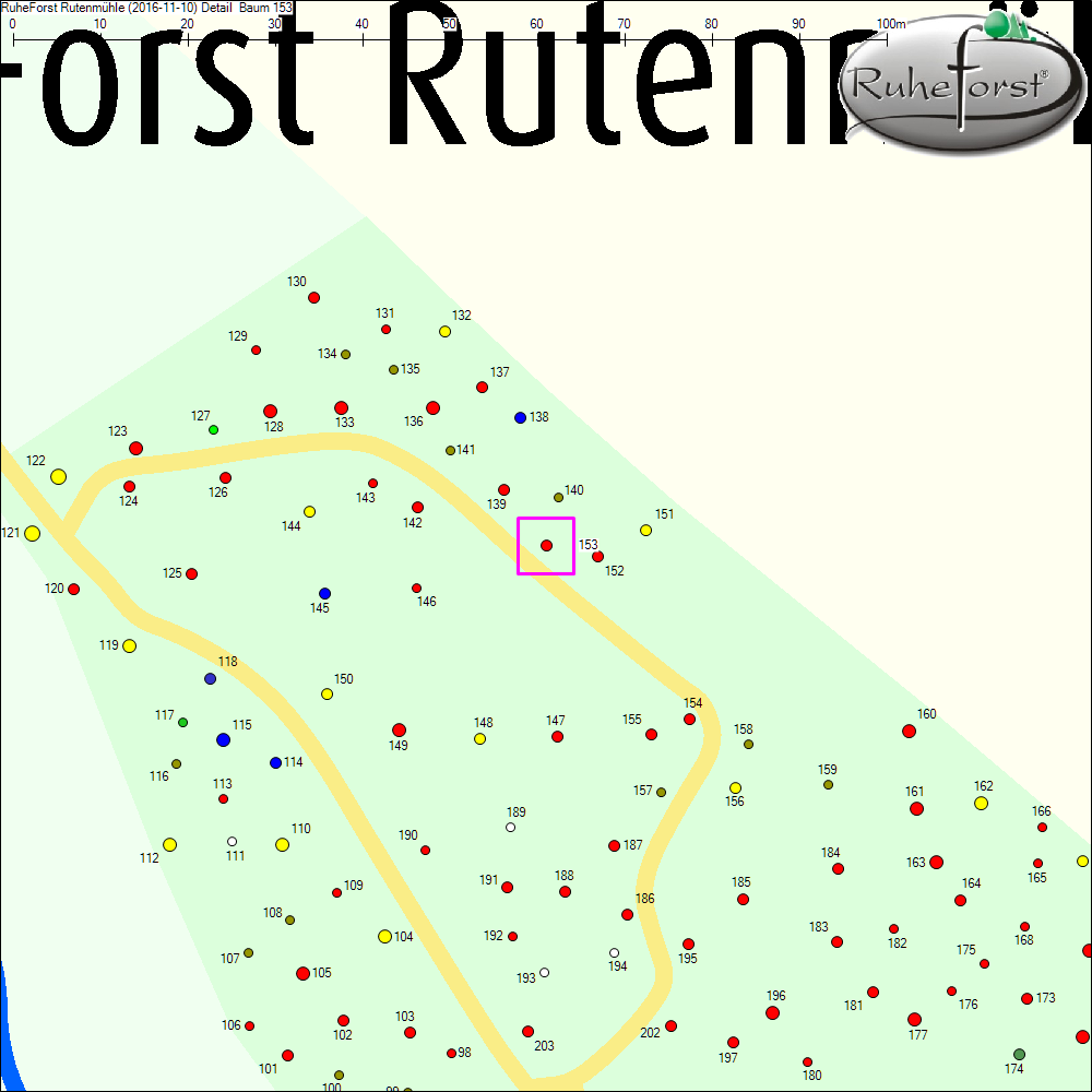 Detailkarte zu Baum 153