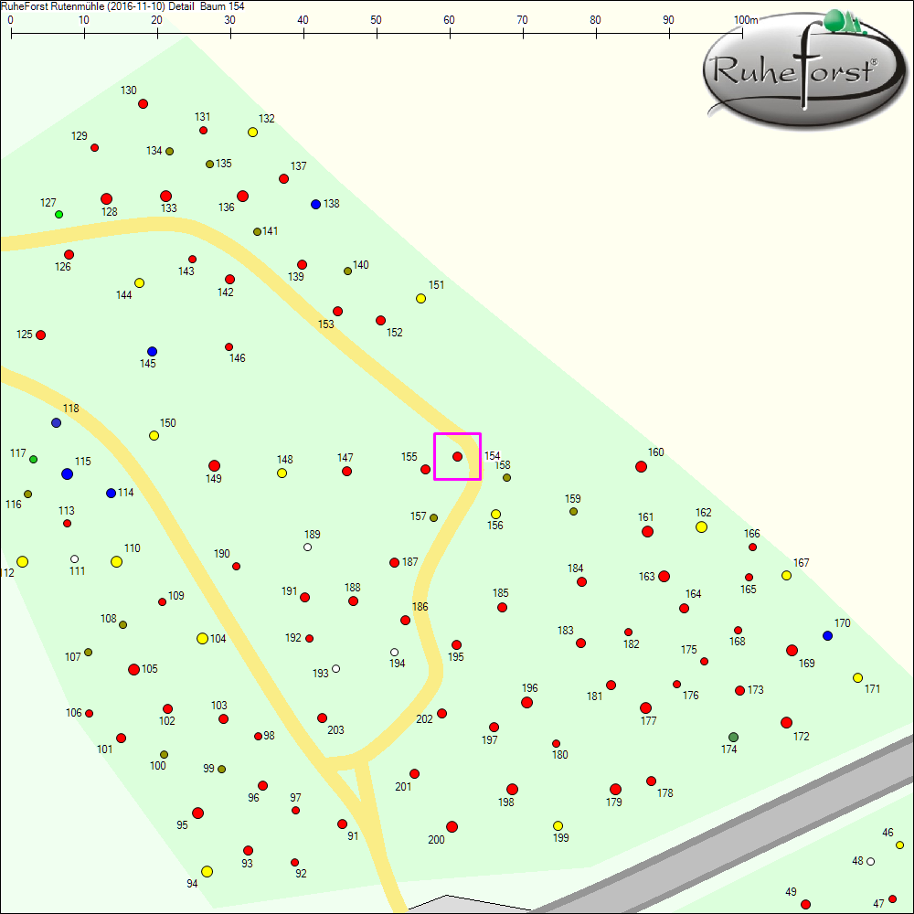 Detailkarte zu Baum 154