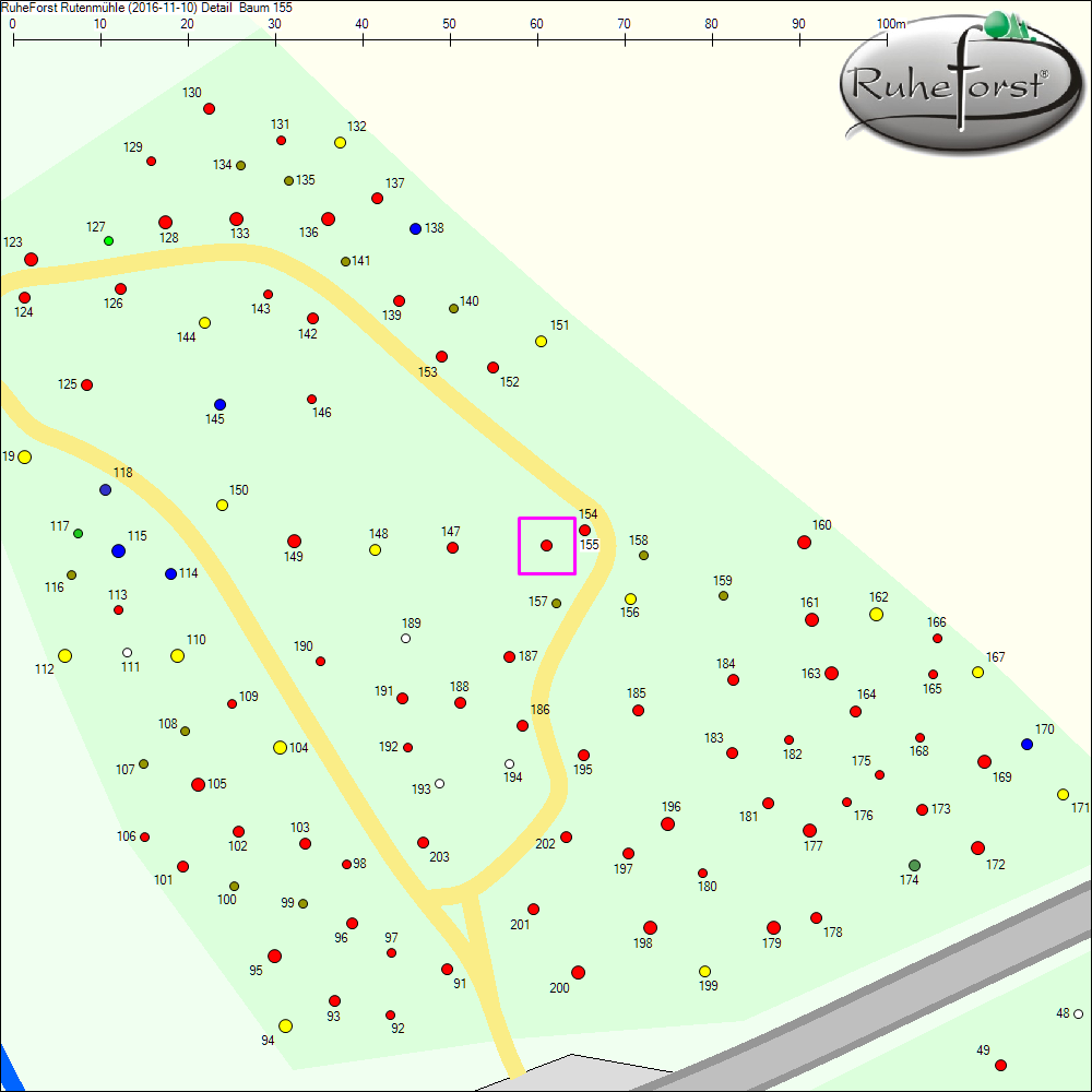 Detailkarte zu Baum 155