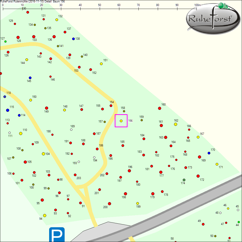 Detailkarte zu Baum 156
