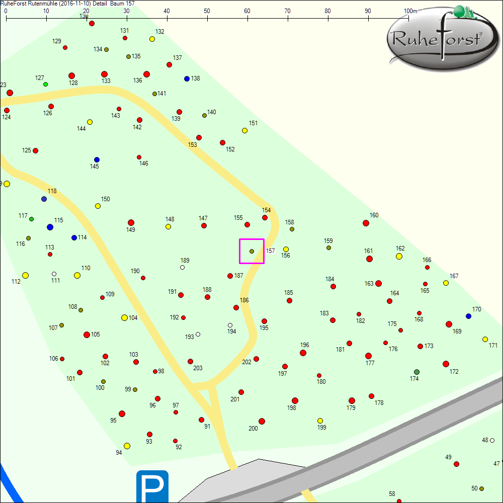 Detailkarte zu Baum 157