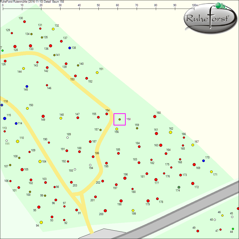 Detailkarte zu Baum 158