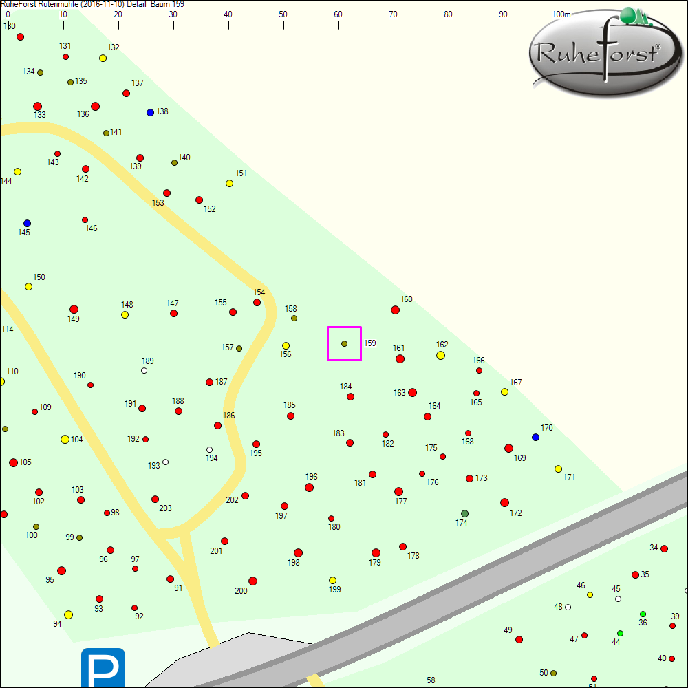 Detailkarte zu Baum 159