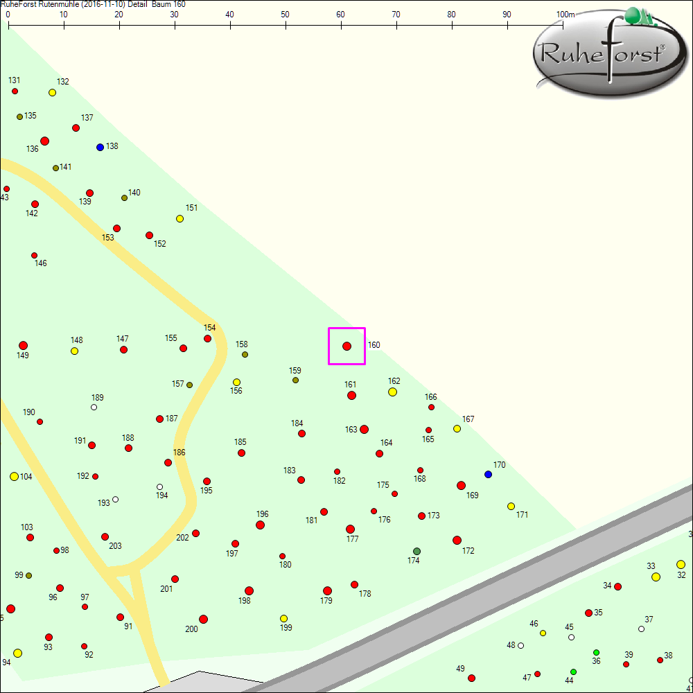 Detailkarte zu Baum 160