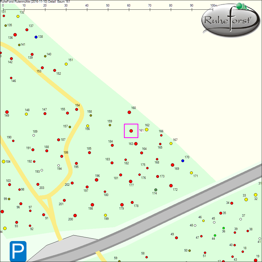 Detailkarte zu Baum 161